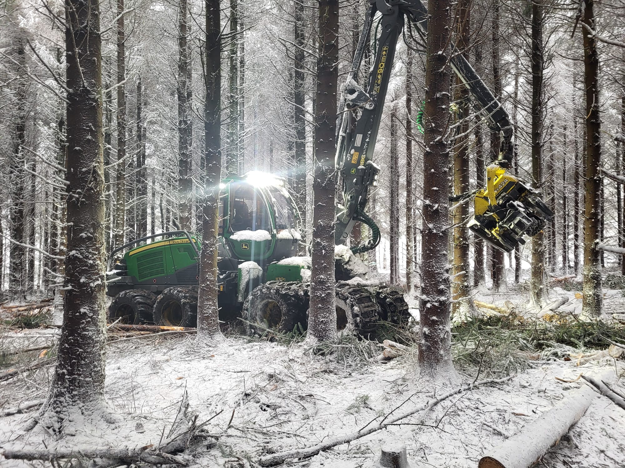Roland Forestry Ltd.