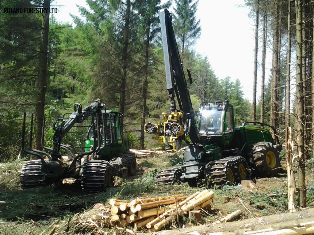 Timber Harvesting